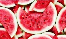 免费吃瓜网站推荐最新,最新热门瓜料，一网打尽！