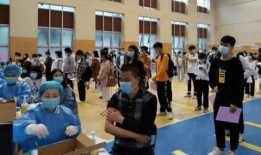 仙鱼最新爆料消息视频,最新爆料视频深度解析